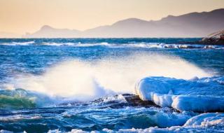 夏日的浪花 夏日的浪花